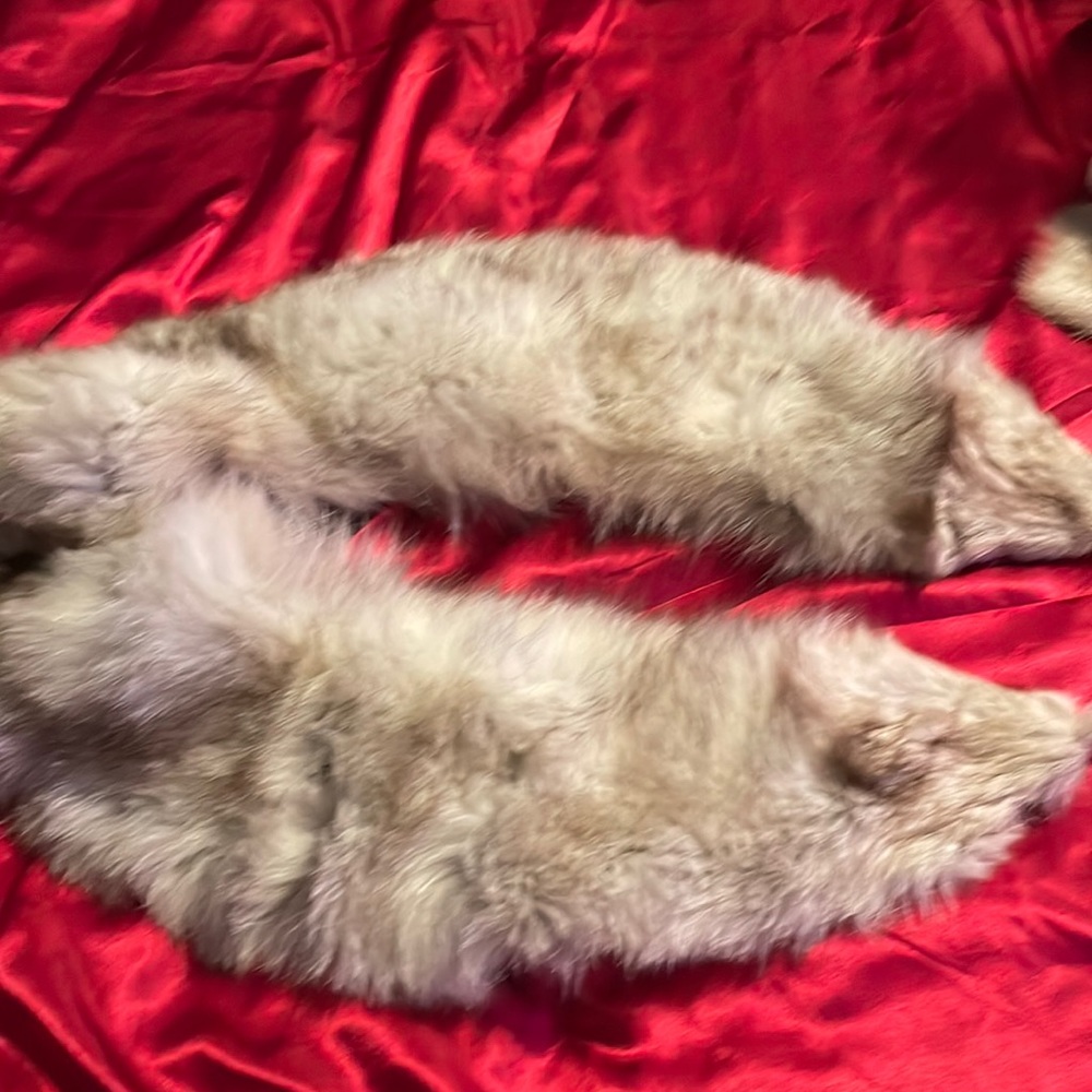 Fur collar from a coat